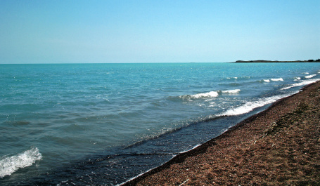 photo 299382