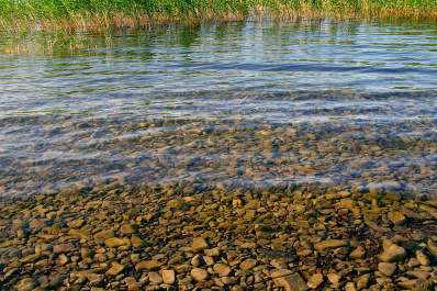 photo 424070