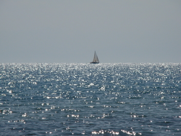 photo 42906