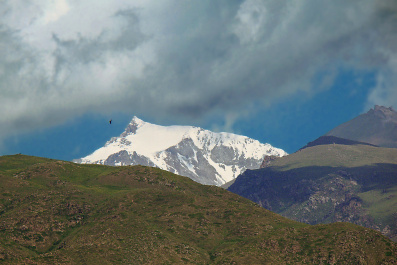 photo 429826