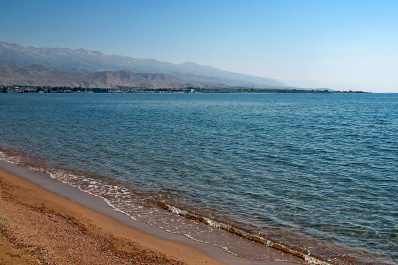 photo 443384