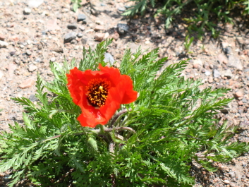 photo 200740