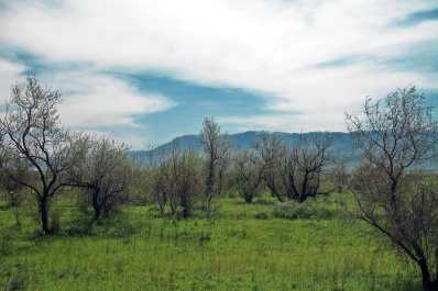 photo 416279
