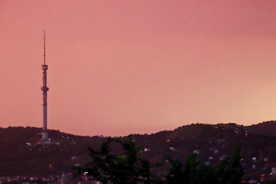 photo 427241