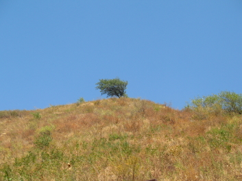 photo 43521