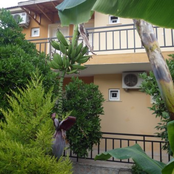 Отдых в Турции - Кемер, Кириш, Seker Resort 4*
