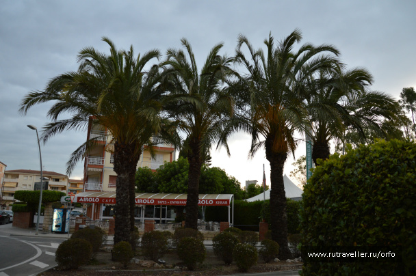 photo 117371