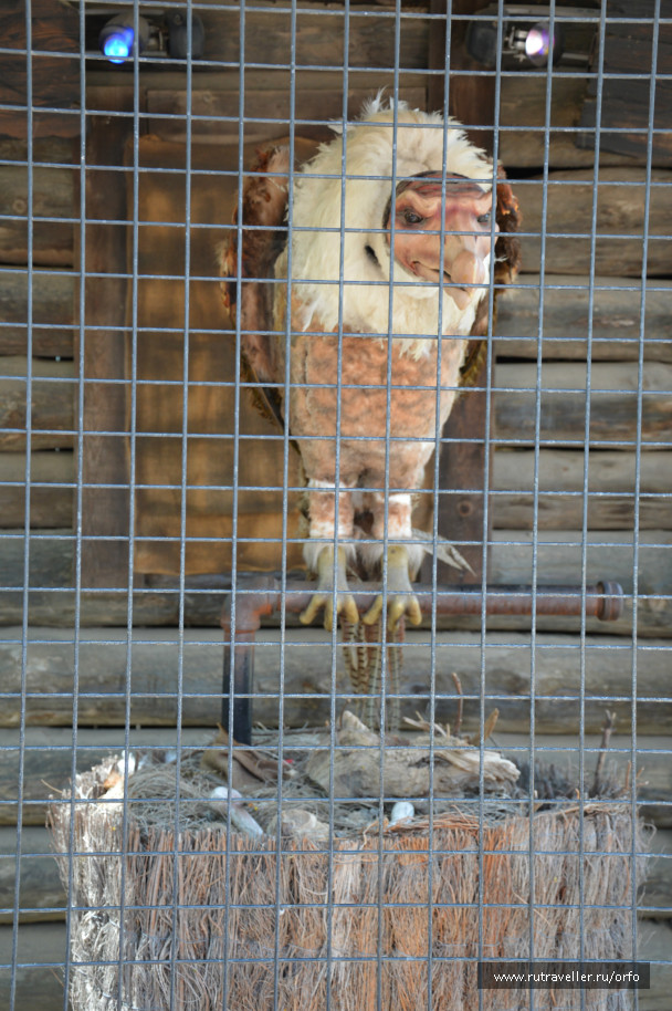 photo 117476