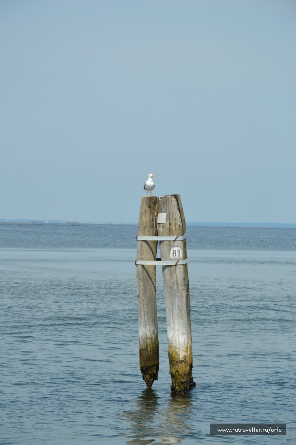 photo 824072