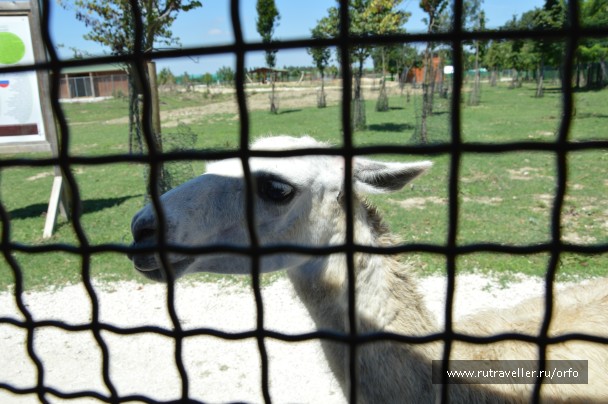 photo 832729