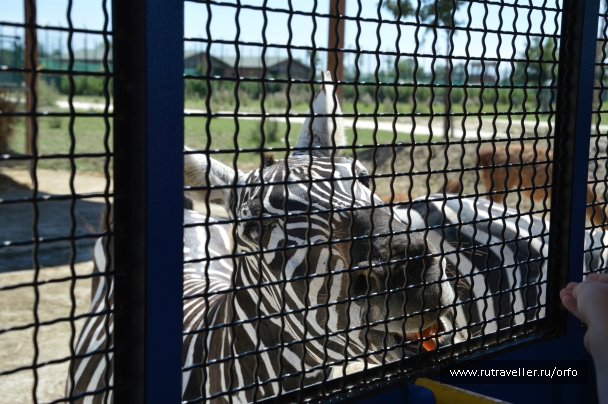 photo 832734