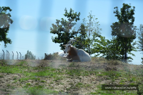 photo 832742