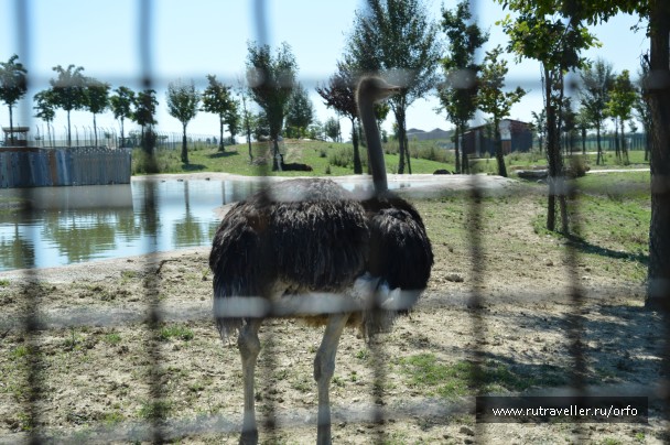 photo 832743