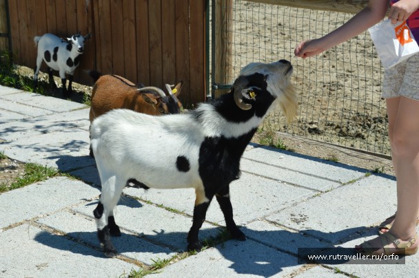 photo 832744