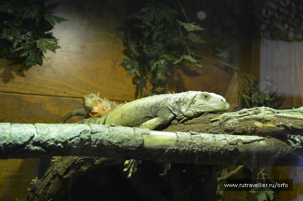photo 832753