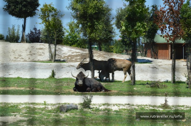 photo 832791