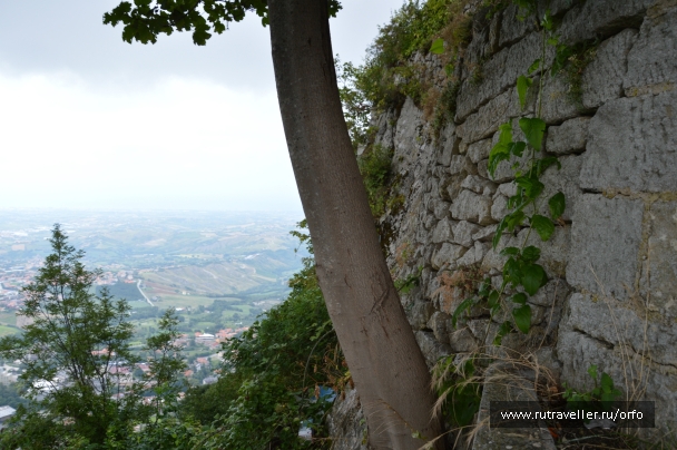 photo 876539