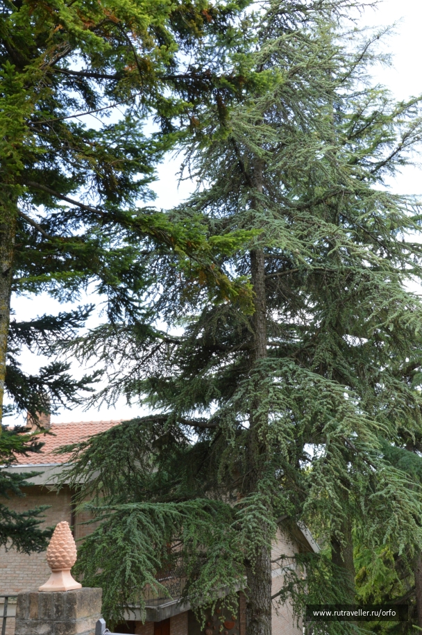 photo 876659