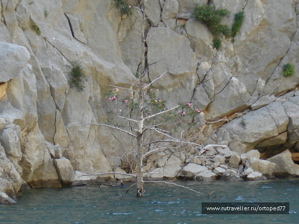 photo 209378