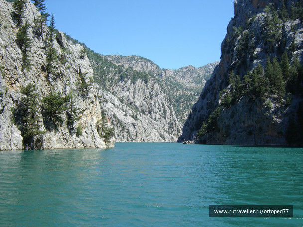 photo 209382