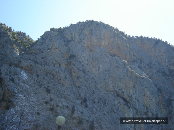 photo 209383