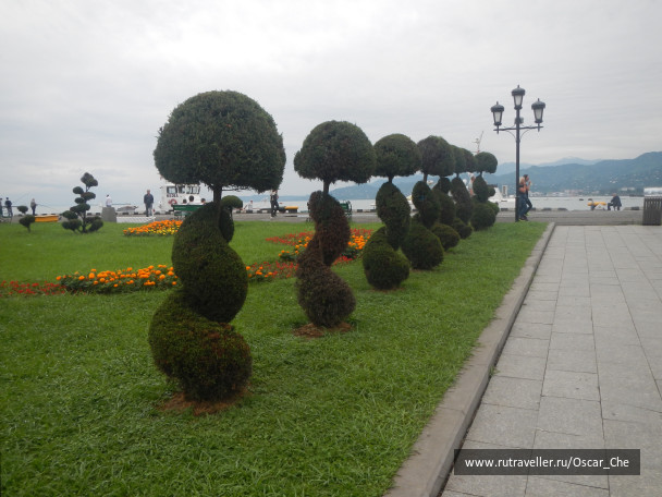 photo 1415929