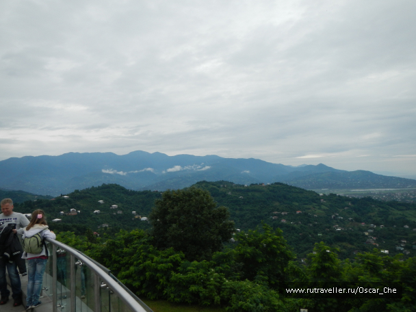 photo 1415931