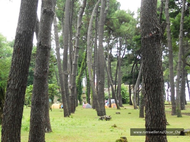 photo 1415962