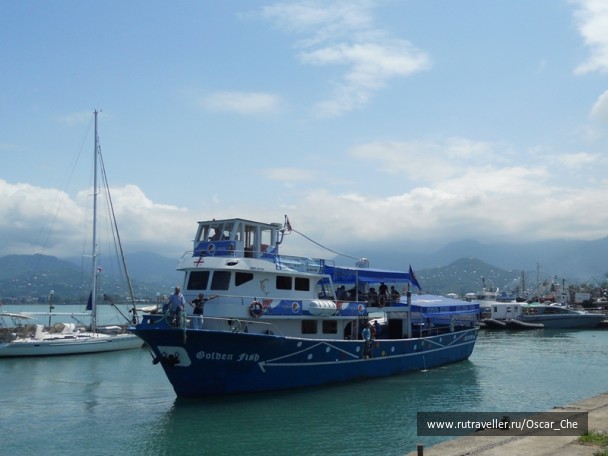 photo 1415985