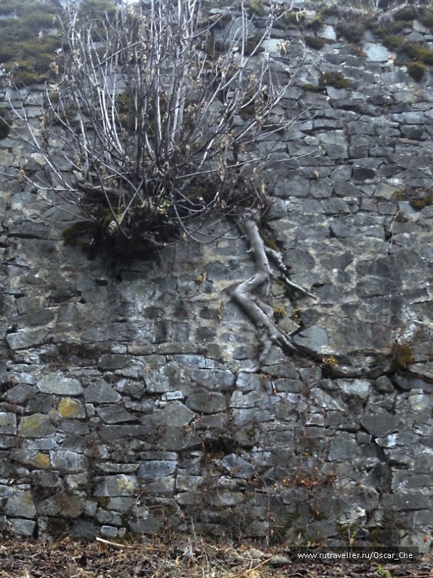 photo 1415992