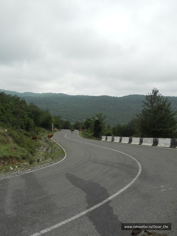 photo 1416013