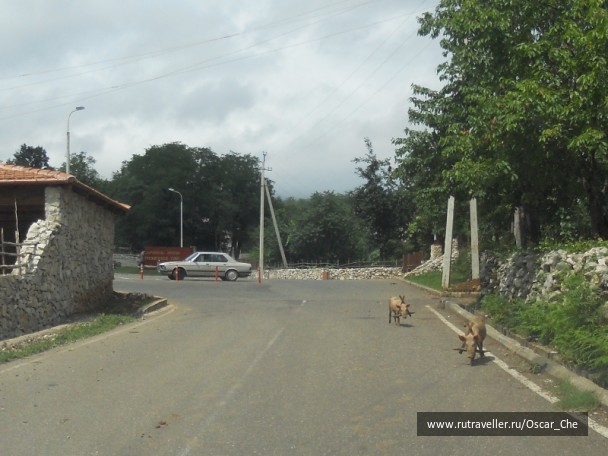photo 1416016