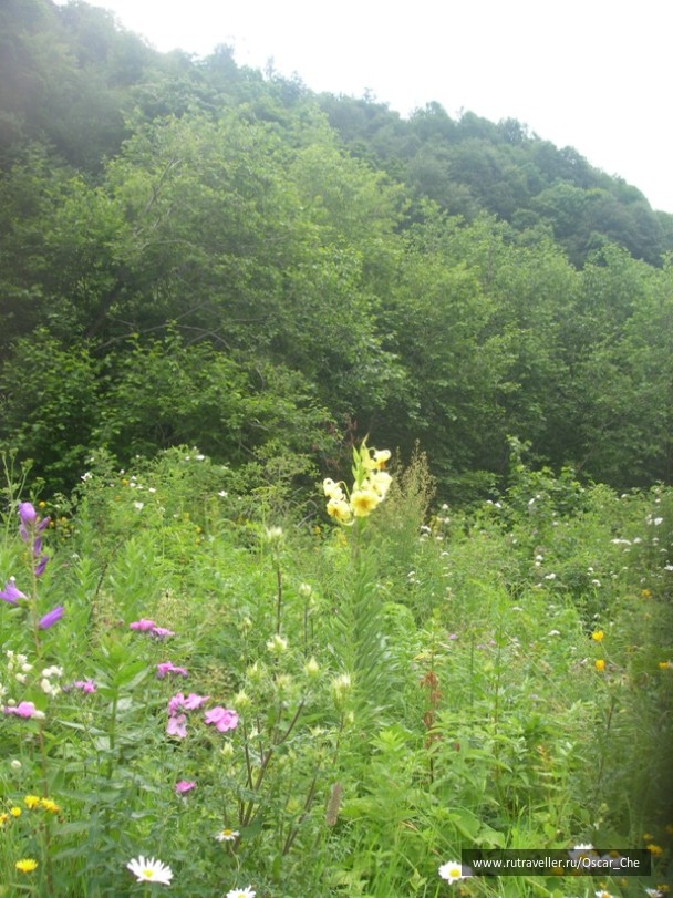 photo 1416038