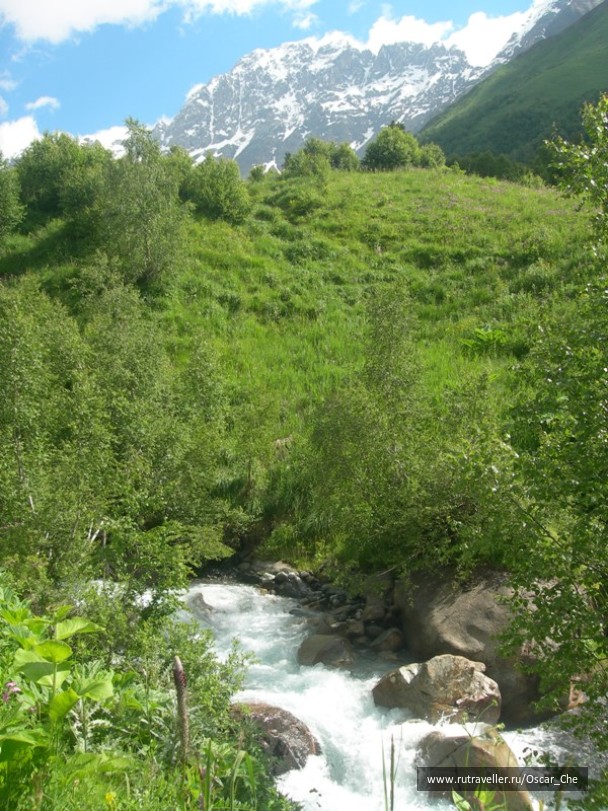 photo 1416039