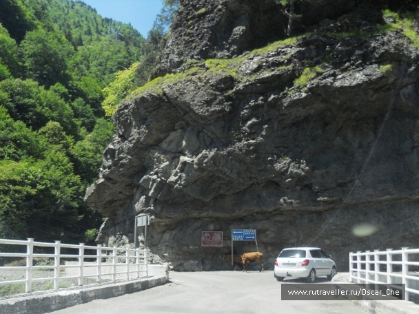 photo 1416178