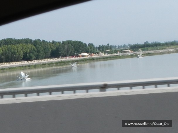 photo 1416303