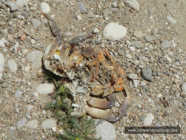 photo 1415880