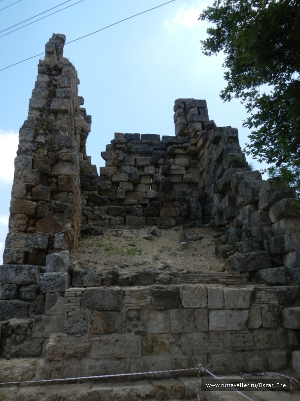 photo 1415884