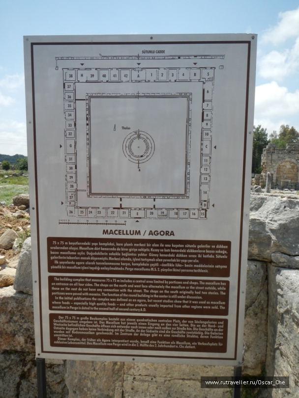 photo 1415886