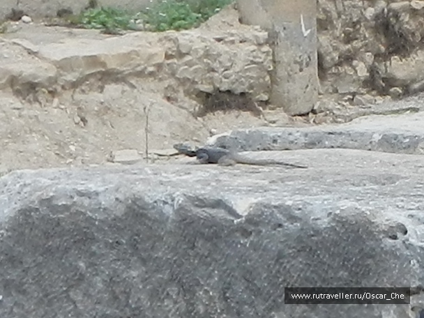 photo 1415914