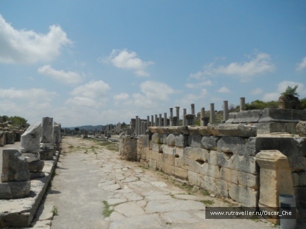 photo 1415918