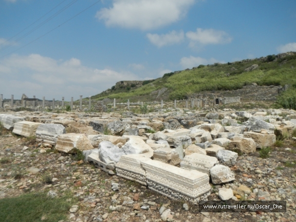 photo 1415919