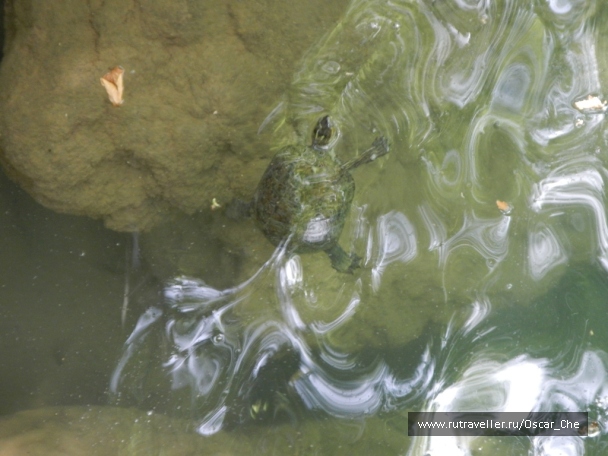 photo 1416204