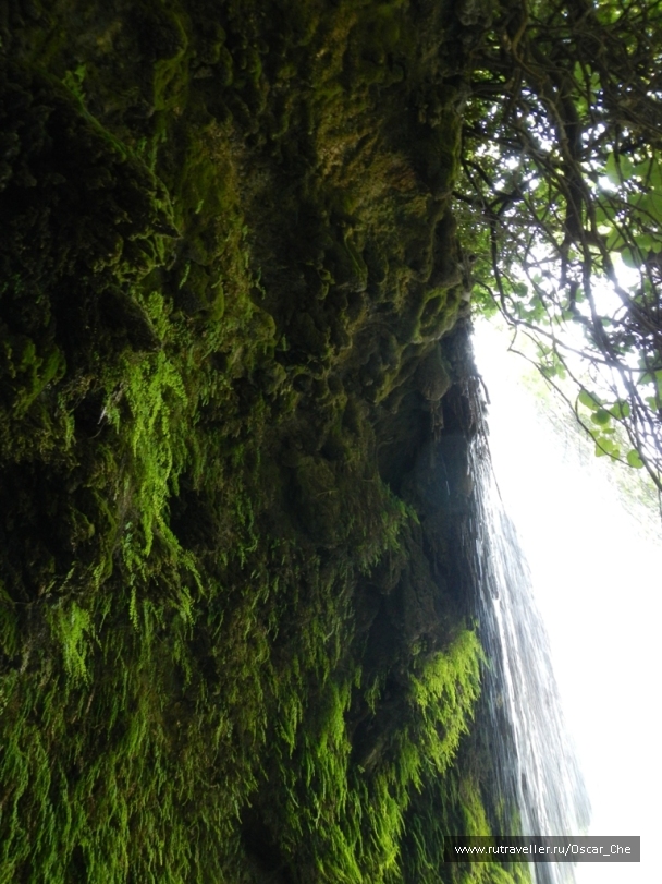 photo 1416209