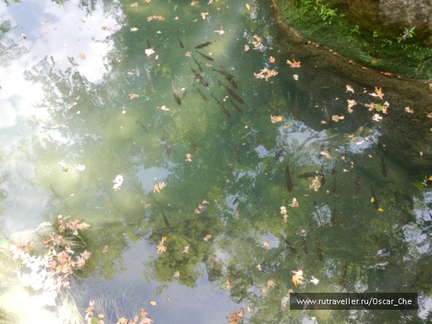 photo 1416213