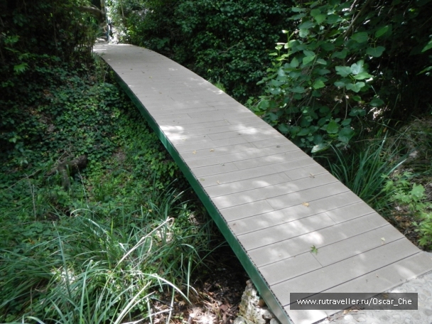 photo 1416215