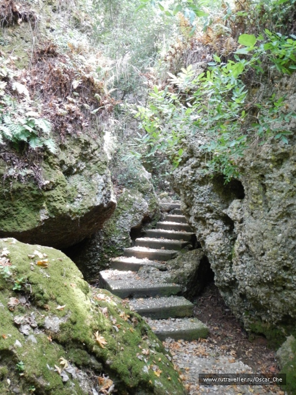 photo 1416222