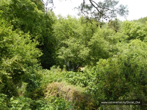 photo 1416225