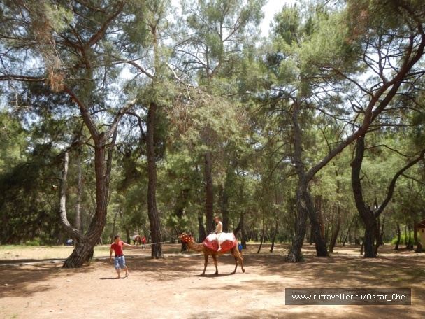 photo 1416228