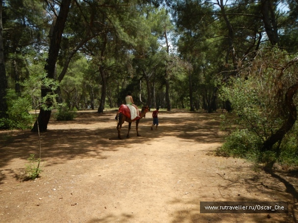 photo 1416229